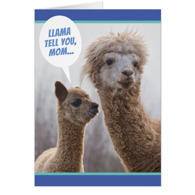Funny Llama Tell You, Mother's Day Card (Front)