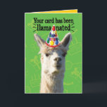 Funny Llama With Party Hat– Llamanated Birthday Card<br><div class="desc">Cute llama wearing a party hat against a festive birthday background. The card says,  "Your card has been llamanated. Get it? The inside says,  "If you spill your drinks or drop food on it...  no probllama! Happy Birthday!" More play on the word llama. For all you llama lovers!</div>