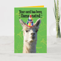 Funny Llama With Party Hat– Llamanated Birthday