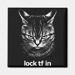 Funny Lock TF in Cat Graphic Motivational Retro Magnet