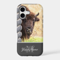 Funny looking bison sticking its tongue out!