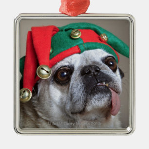 Funny looking pug with tongue hanging out metal tree decoration