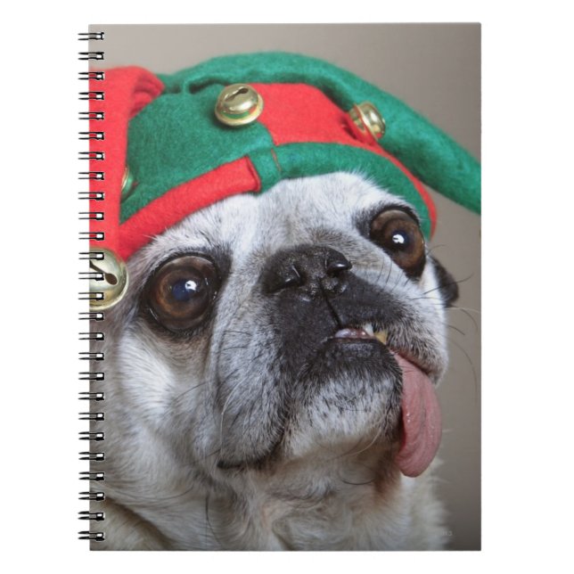 Funny looking pug with tongue hanging out notebook (Front)