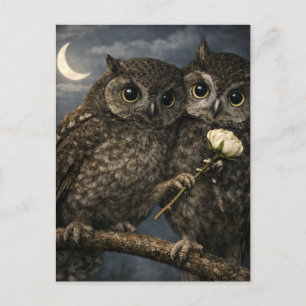 Funny Love Bird Owls With Flower Valentine Holiday Postcard