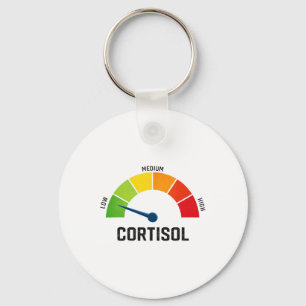 Funny Low Cortisol Level Metre Gauge Stress Relief Key Ring