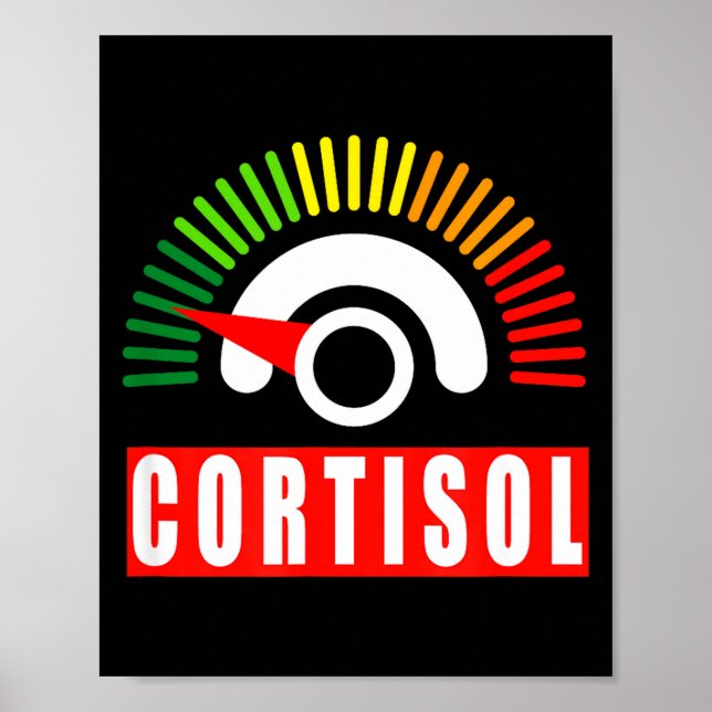 Funny low cortisol levels meme adrenal fatigue poster (Front)