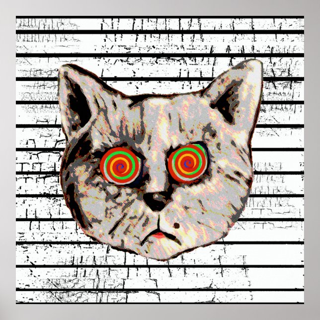 funny mad cat spiral eyes poster (Front)