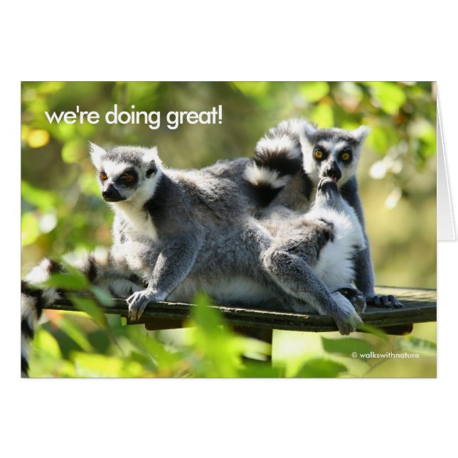 Funny Madagascan Lemurs Monkey Business (Front Horizontal)