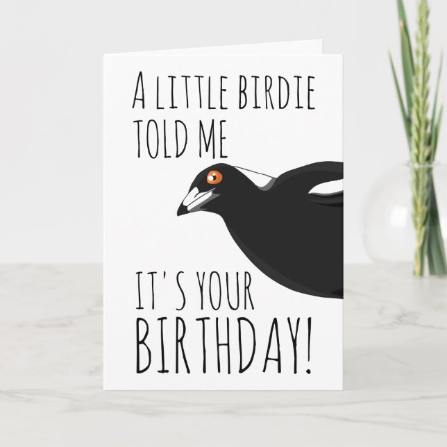 Funny magpie birthday card (Front)