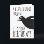 Funny magpie birthday card<br><div class="desc">Cute and funny Australian magpie design,  wishing you a happy birthday!</div>
