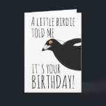 Funny magpie birthday card<br><div class="desc">Cute and funny Australian magpie design,  wishing you a happy birthday!</div>