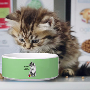Funny Maine Coon Cat Fixed  Bowl