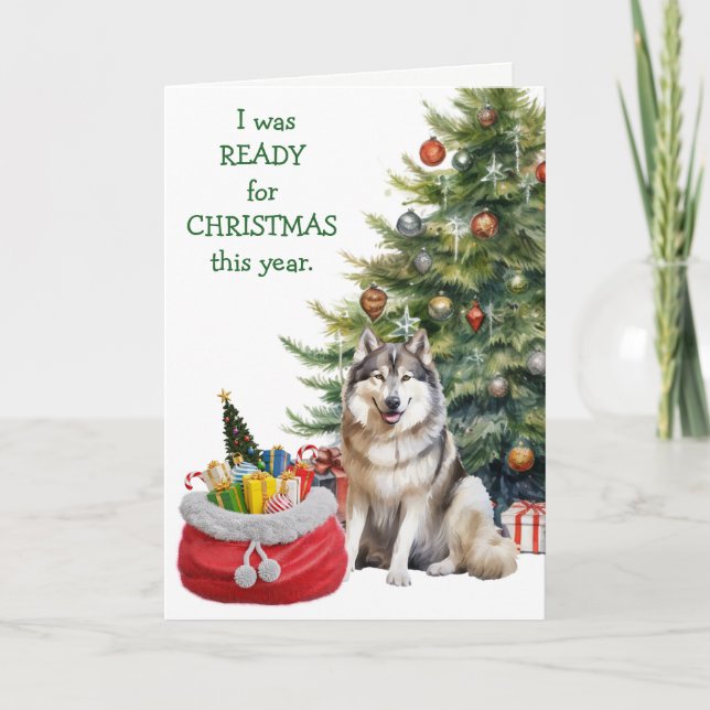 Funny Malamute Dog Ready for Christmas Holiday Card (Front)
