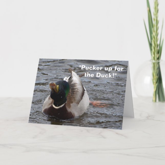 Funny Mallard Duck Birthday Card (Front)