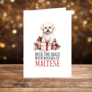 Funny Maltese Christmas Happy Holidays Holiday Card