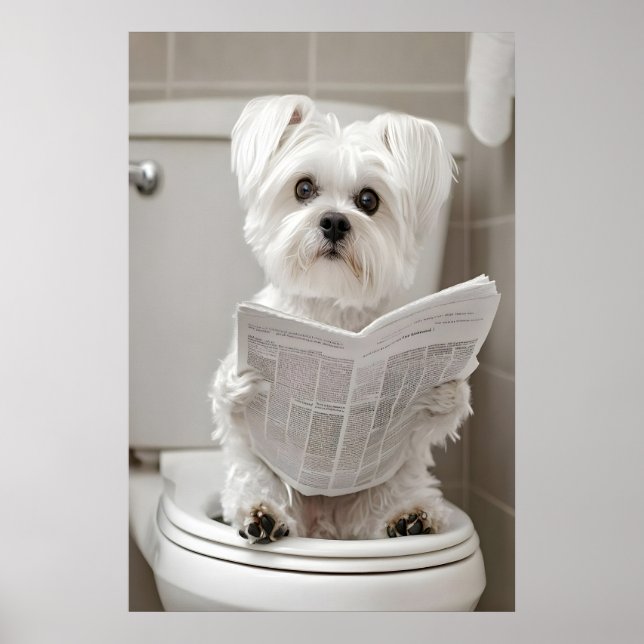 Funny Maltese Dog Bathroom Print, Newspaper Art Poster (Front)