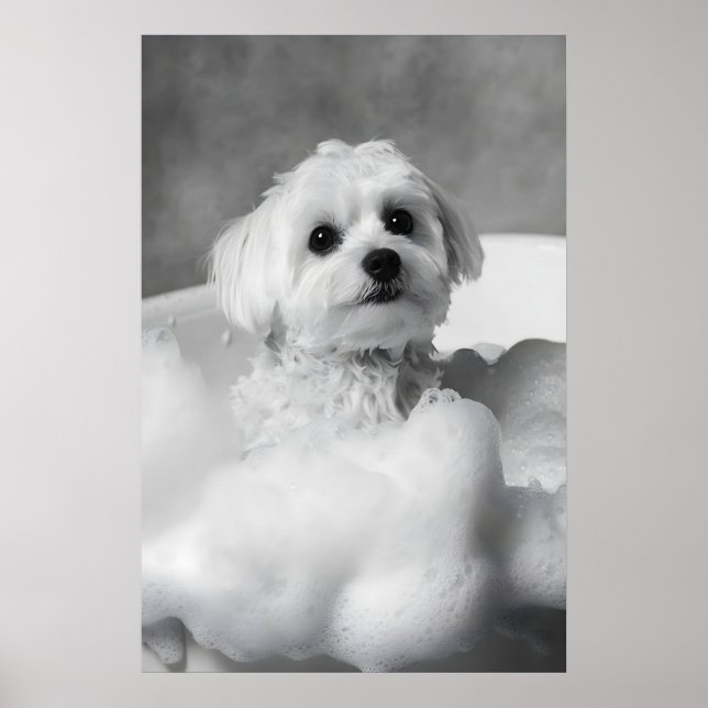Funny Maltese Dog in Bubble Bath, Bathroom Art Poster (Front)