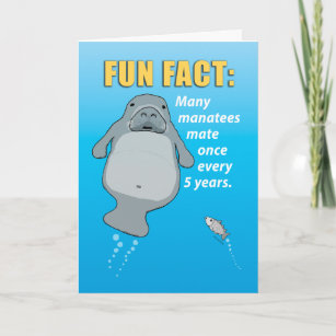 Happy Manatee Cartoon Gifts On Zazzle Au
