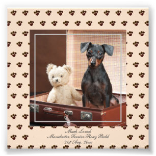 Funny Manchester Terrier PHOTO Named Keepsake