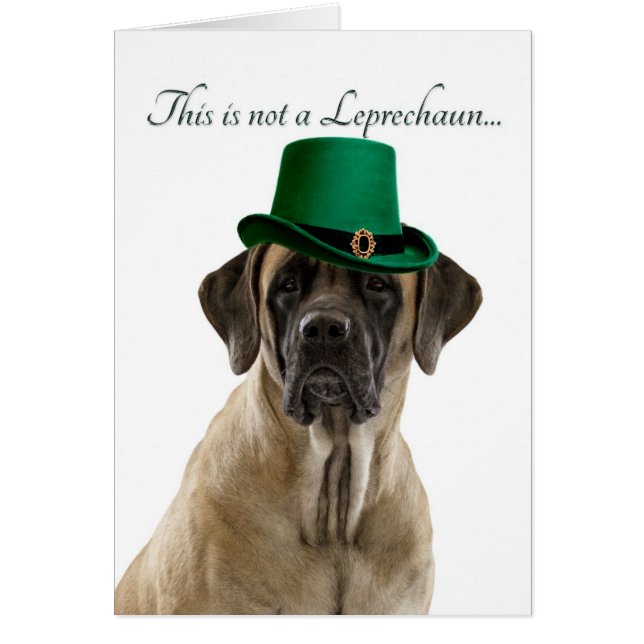 Funny Mastiff Leprechaun Card (Front)