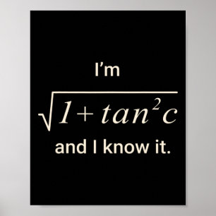Funny Math Pun Tee – I M Sec C Trigonometry Teache Poster