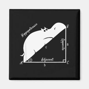 Funny Math Teacher,funny Hiptenuse,geometry Teache Magnet