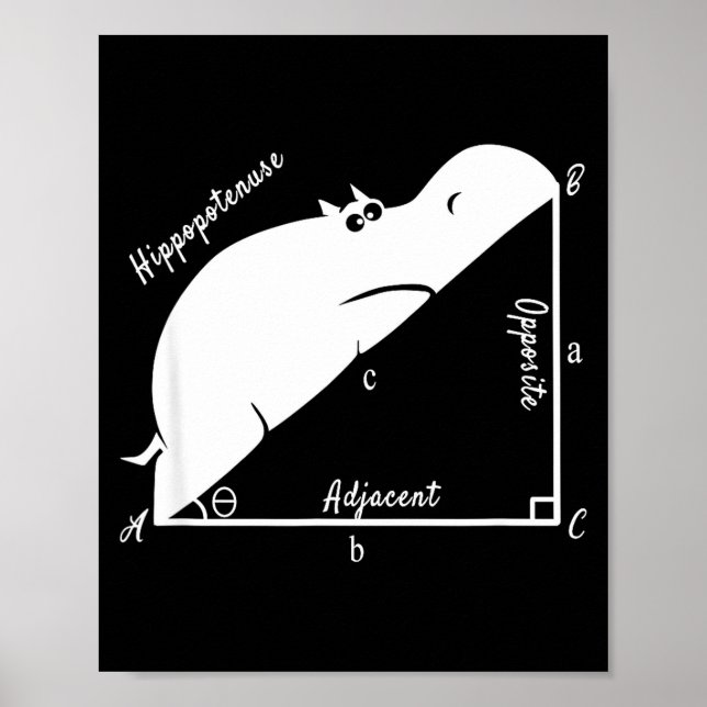 Funny Math Teacher,funny Hiptenuse,geometry Teache Poster (Front)
