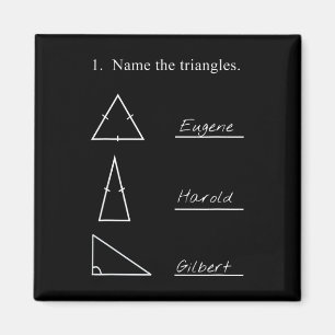 Funny Math Teacher Name The Triangles Joke Humorou Magnet
