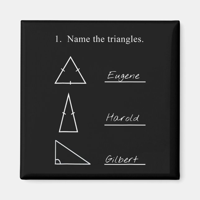 Funny Math Teacher Name The Triangles Joke Humorou Magnet (Front)