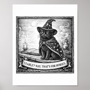 Funny Mediaeval Cat Wizard Mental Health Fantasy R Poster