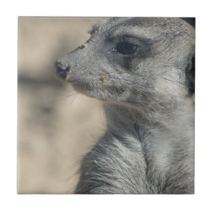 Funny Meerkat Ceramic Tile