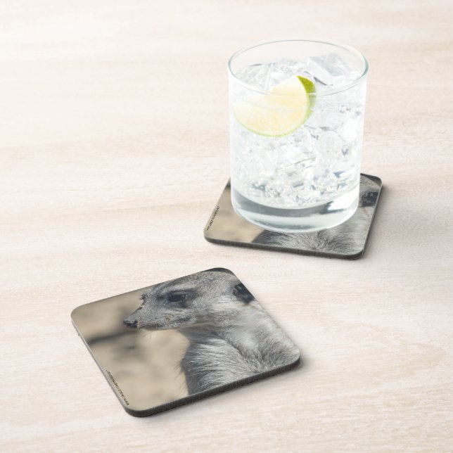 Funny Meerkat Coaster (Right Side)