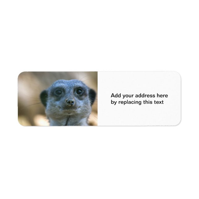 Funny Meerkat Custom Return Address Label (Front)