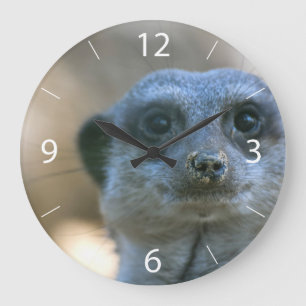 Funny Meerkat Large Clock