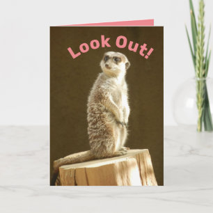 Funny Meerkat: Look Out! You're a Meer Year Older Card