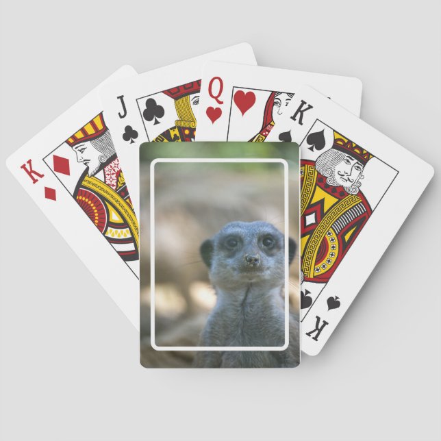 Funny Meerkat Playing Cards (Back)