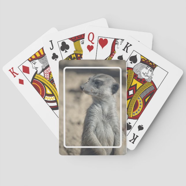 Funny Meerkat Playing Cards (Back)