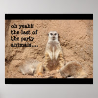 funny meerkat poster, Party Animal!