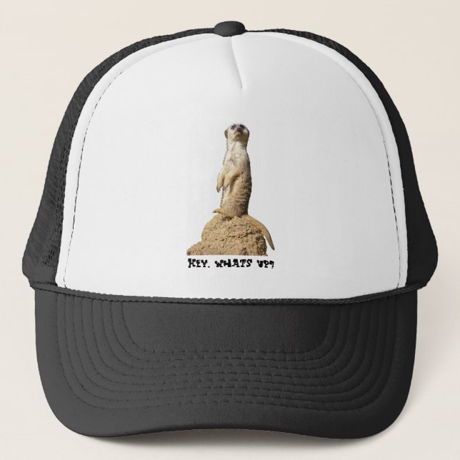 Funny Meerkat Standing Up Hat (Front)