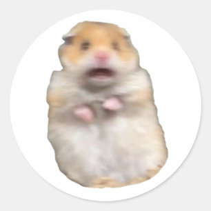 funny meme cat classic round sticker