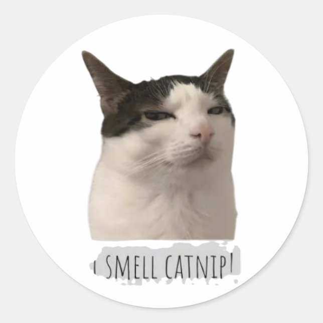 funny meme cat classic round sticker (Front)