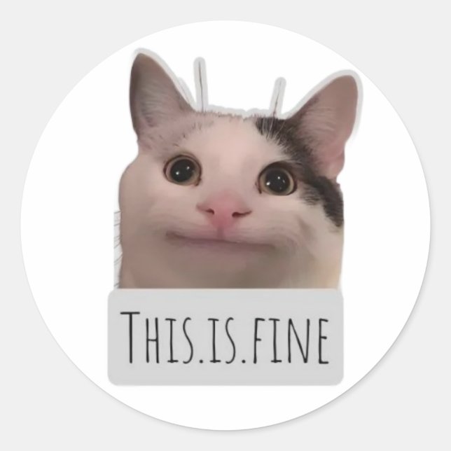 funny meme cat classic round sticker (Front)