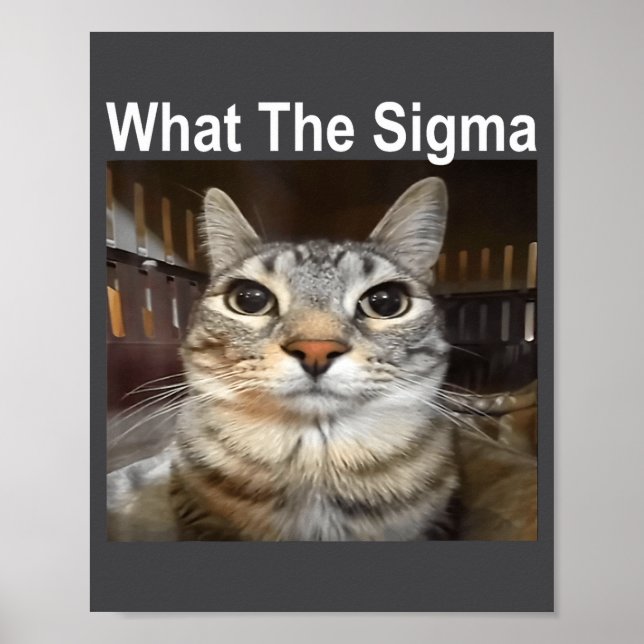 Funny Meme Cat What The Sigma Cute Cat Meme Quote  Poster (Front)