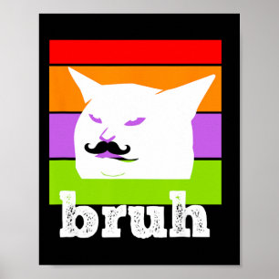 Funny Meme Saying Bruh With Cat-cinco De Mayo-mexi Poster
