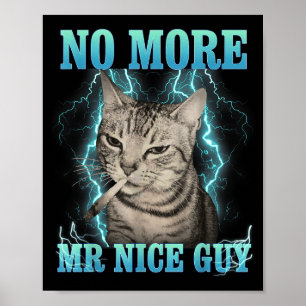 Funny Memes Humour Saying No More Mr Nice Guy Cat Poster