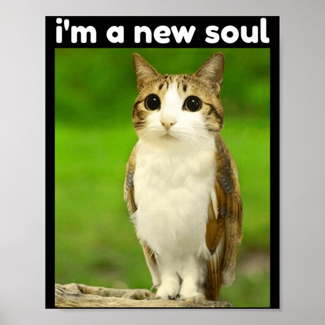 Funny Meowl Brainrot Meme Cat Owl Poster (Front)