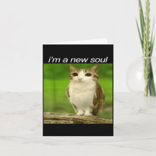 Funny Meowl Cat Owl Brainrot Cursed Internet Silly Card