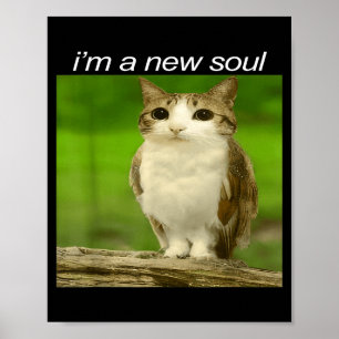 Funny Meowl Cat Owl Brainrot Cursed Internet Silly Poster