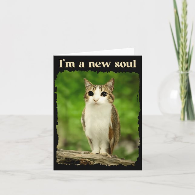 Funny Meowl Meme, Cat Owl Meme Brainrot Gen Alpha  Card (Front)