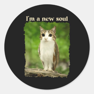 Funny Meowl Meme, Cat Owl Meme Brainrot Gen Alpha  Classic Round Sticker